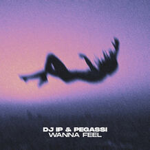 Wanna Feel