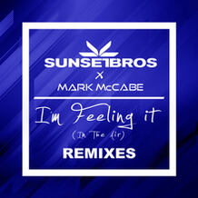 I'm Feeling It (In The Air) (Remixes)